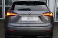 Lexus NX 300 300h E-FOUR Luxury Line Grau - thumbnail 4