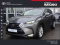 Lexus NX 300 300h E-FOUR Luxury Line Grau - thumbnail 1