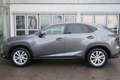 Lexus NX 300 300h E-FOUR Luxury Line Grau - thumbnail 2
