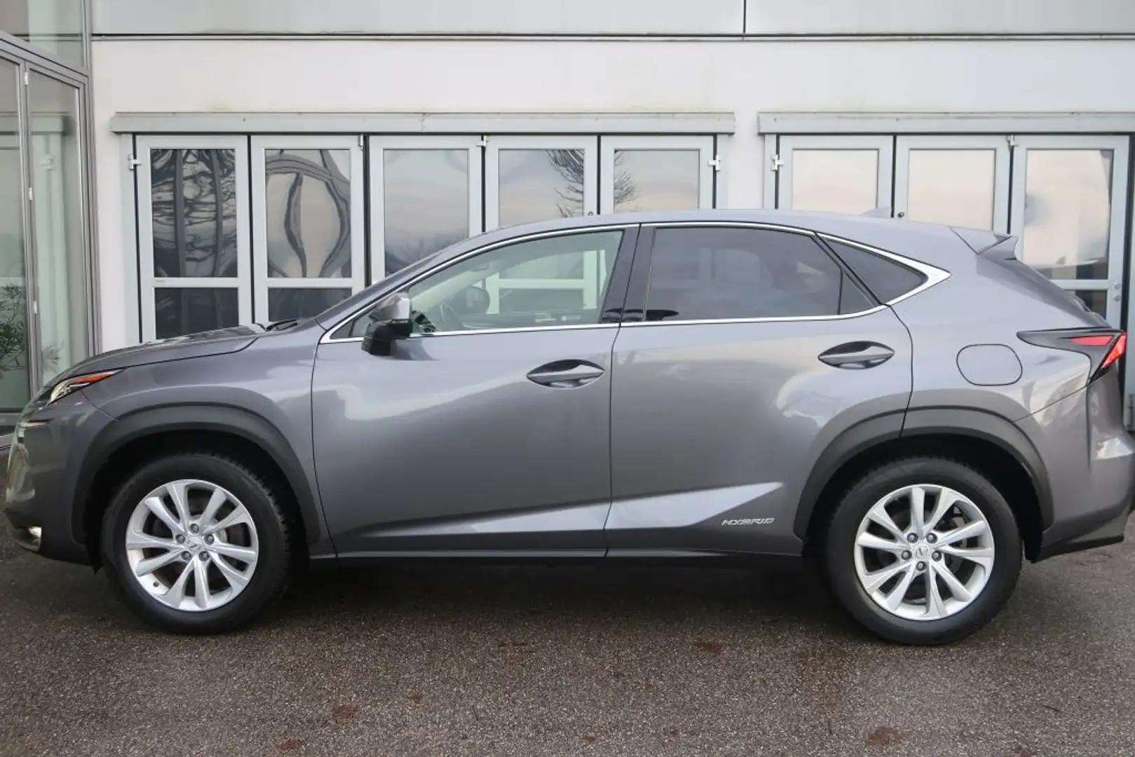 Lexus NX 300 300h E-FOUR Luxury Line Grau - 2