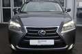 Lexus NX 300 300h E-FOUR Luxury Line Grau - thumbnail 8