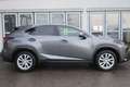 Lexus NX 300 300h E-FOUR Luxury Line Grau - thumbnail 6