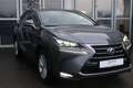Lexus NX 300 300h E-FOUR Luxury Line Grau - thumbnail 7