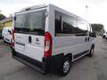 Fiat Ducato 2.3MJT 150cv Panorama 9 Posti Blanc - thumbnail 6
