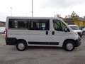 Fiat Ducato 2.3MJT 150cv Panorama 9 Posti Blanc - thumbnail 5