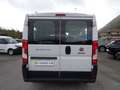 Fiat Ducato 2.3MJT 150cv Panorama 9 Posti Blanc - thumbnail 7