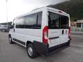 Fiat Ducato 2.3MJT 150cv Panorama 9 Posti Blanc - thumbnail 8