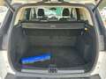 Ford Kuga Ok neo pat. Kuga 1.5 tdci Titanium Blanc - thumbnail 7