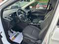 Ford Kuga Ok neo pat. Kuga 1.5 tdci Titanium Blanc - thumbnail 5