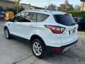 Ford Kuga Ok neo pat. Kuga 1.5 tdci Titanium Blanc - thumbnail 13