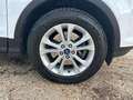 Ford Kuga Ok neo pat. Kuga 1.5 tdci Titanium Blanc - thumbnail 14