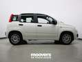 Fiat Panda 1.0 FireFly S&S Hybrid  ECOINCENTIVI 2024 Bianco - thumbnail 4
