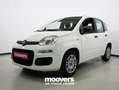 Fiat Panda 1.0 FireFly S&S Hybrid  ECOINCENTIVI 2024 Bianco - thumbnail 1
