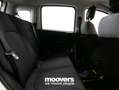 Fiat Panda 1.0 FireFly S&S Hybrid  ECOINCENTIVI 2024 Bianco - thumbnail 11