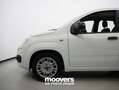 Fiat Panda 1.0 FireFly S&S Hybrid  ECOINCENTIVI 2024 Bianco - thumbnail 10