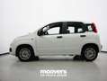 Fiat Panda 1.0 FireFly S&S Hybrid  ECOINCENTIVI 2024 Bianco - thumbnail 2
