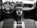 Fiat Panda 1.0 FireFly S&S Hybrid  ECOINCENTIVI 2024 Bianco - thumbnail 8