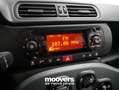 Fiat Panda 1.0 FireFly S&S Hybrid  ECOINCENTIVI 2024 Bianco - thumbnail 13