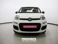 Fiat Panda 1.0 FireFly S&S Hybrid  ECOINCENTIVI 2024 Bianco - thumbnail 5