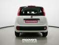 Fiat Panda 1.0 FireFly S&S Hybrid  ECOINCENTIVI 2024 Bianco - thumbnail 3