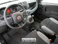 Fiat Panda 1.0 FireFly S&S Hybrid  ECOINCENTIVI 2024 Bianco - thumbnail 6