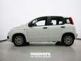 Fiat Panda 1.0 FireFly S&S Hybrid  ECOINCENTIVI 2024 Bianco - thumbnail 2