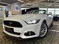 Ford Mustang GT 5.0 V8 Aut.1.Hd| UNFALLFREI |DE | COC Wit - thumbnail 14