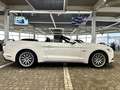 Ford Mustang GT 5.0 V8 Aut.1.Hd| UNFALLFREI |DE | COC Wit - thumbnail 18