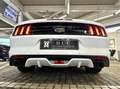 Ford Mustang GT 5.0 V8 Aut.1.Hd| UNFALLFREI |DE | COC Wit - thumbnail 12