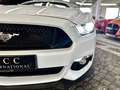Ford Mustang GT 5.0 V8 Aut.1.Hd| UNFALLFREI |DE | COC Wit - thumbnail 25
