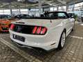 Ford Mustang GT 5.0 V8 Aut.1.Hd| UNFALLFREI |DE | COC Wit - thumbnail 22