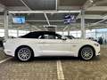 Ford Mustang GT 5.0 V8 Aut.1.Hd| UNFALLFREI |DE | COC Wit - thumbnail 8