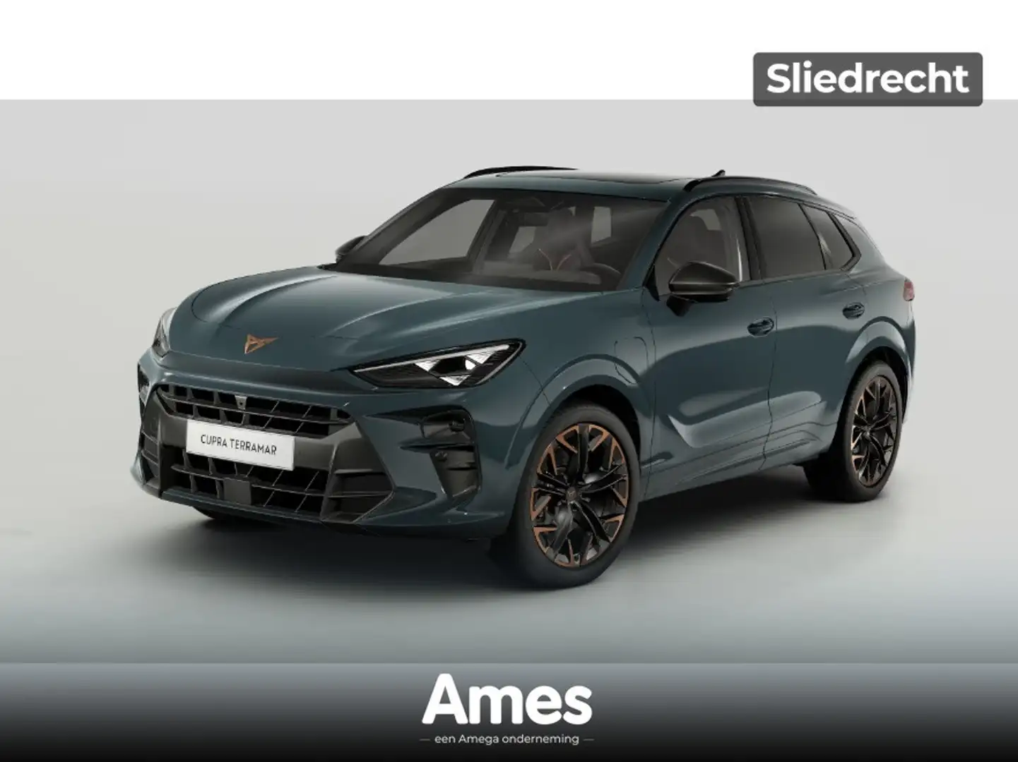 CUPRA Terramar 1.5 e-Hybrid 272pk DSG VZ Performance | Panoramada Bleu - 1