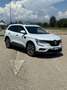Renault Koleos 2.0 dci Intens 175cv x-tronic - thumbnail 1