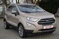 Ford EcoSport 1.0 EcoBoost Titanium X Bi-Xenon Kamera A Beige - thumbnail 4