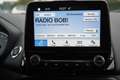 Ford EcoSport 1.0 EcoBoost Titanium X Bi-Xenon Kamera A Beige - thumbnail 11