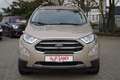 Ford EcoSport 1.0 EcoBoost Titanium X Bi-Xenon Kamera A Beige - thumbnail 3