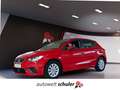 SEAT Ibiza 1.0 Style Sitzheizung virtual cockpit Rouge - thumbnail 1
