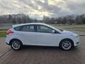 Ford Focus 1.5TDCi Business 120 Blanc - thumbnail 5