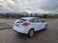 Ford Focus 1.5TDCi Business 120 Blanc - thumbnail 4