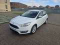Ford Focus 1.5TDCi Business 120 Blanc - thumbnail 1