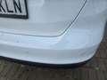 Ford Focus 1.5TDCi Business 120 Blanc - thumbnail 28