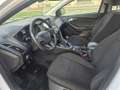 Ford Focus 1.5TDCi Business 120 Blanc - thumbnail 12