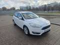 Ford Focus 1.5TDCi Business 120 Blanc - thumbnail 3