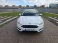 Ford Focus 1.5TDCi Business 120 Blanc - thumbnail 2