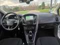 Ford Focus 1.5TDCi Business 120 Blanc - thumbnail 10