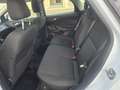 Ford Focus 1.5TDCi Business 120 Blanc - thumbnail 9