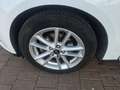Ford Focus 1.5TDCi Business 120 Blanc - thumbnail 22