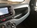 Fiat Panda Panda III 2021 1.0 firefly hybrid s Schwarz - thumbnail 10