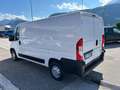 Fiat Ducato 30 2.3 MJT 160CV PM-TN Furgone Bianco - thumbnail 6